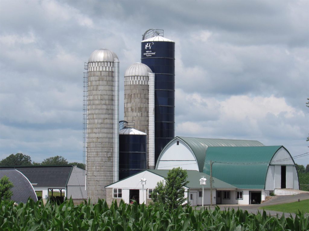 Hidden Valley Dairy, LLC (1) Hidden Valley Dairy, LLC (1)