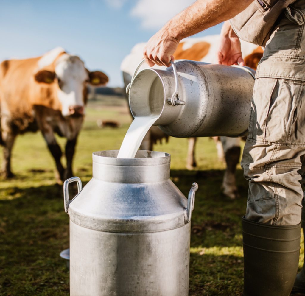 Family Legacy Milk