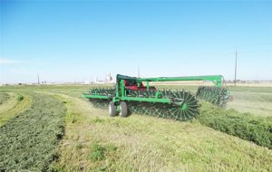 Hay Rake in Field